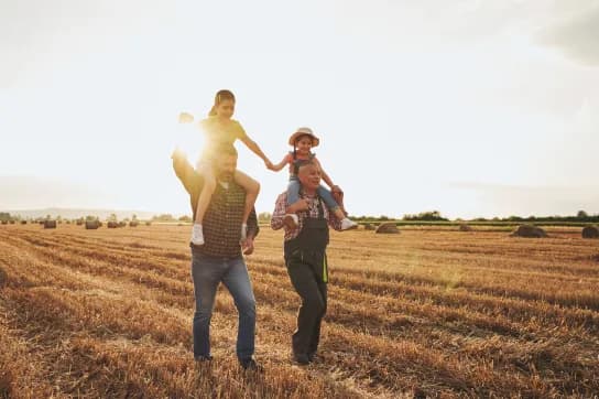 Image - iStock-1261900772